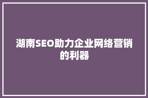 湖南SEO助力企业网络营销的利器