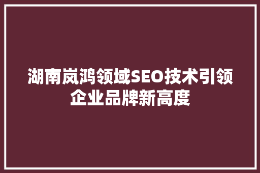 湖南岚鸿领域SEO技术引领企业品牌新高度