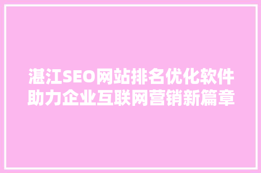 湛江SEO网站排名优化软件助力企业互联网营销新篇章