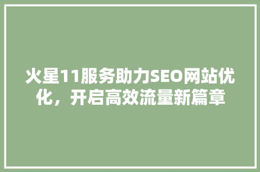火星11服务助力SEO网站优化，开启高效流量新篇章