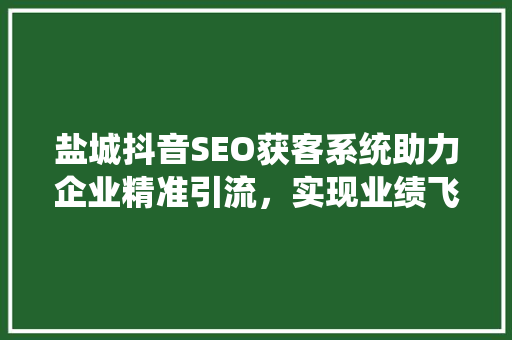 盐城抖音SEO获客系统助力企业精准引流，实现业绩飞跃