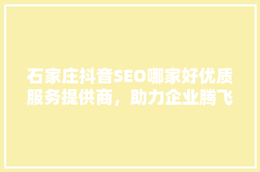 石家庄抖音SEO哪家好优质服务提供商，助力企业腾飞
