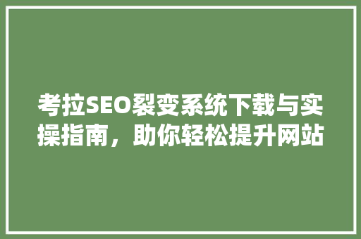 考拉SEO裂变系统下载与实操指南，助你轻松提升网站流量