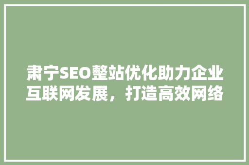 肃宁SEO整站优化助力企业互联网发展，打造高效网络营销步骤