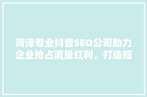 菏泽专业抖音SEO公司助力企业抢占流量红利，打造短视频营销新格局