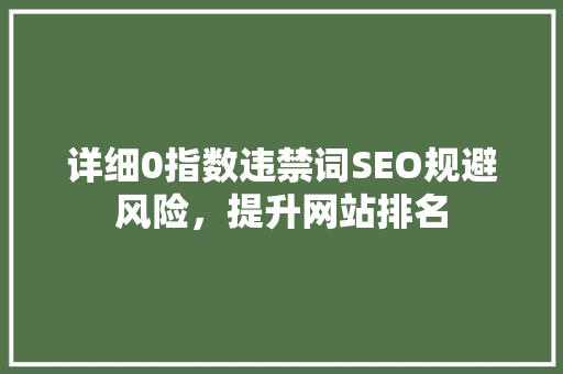 详细0指数违禁词SEO规避风险，提升网站排名