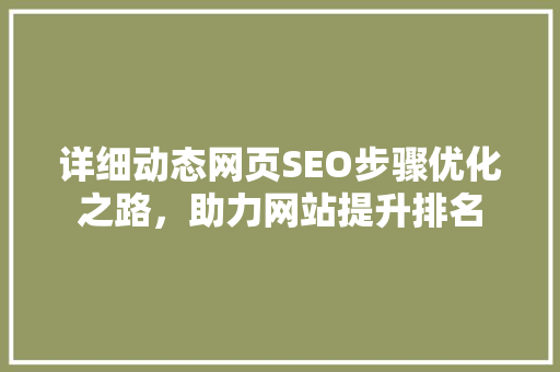 详细动态网页SEO步骤优化之路，助力网站提升排名