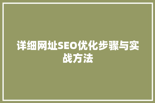 详细网址SEO优化步骤与实战方法
