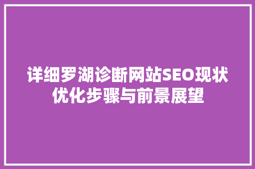 详细罗湖诊断网站SEO现状优化步骤与前景展望
