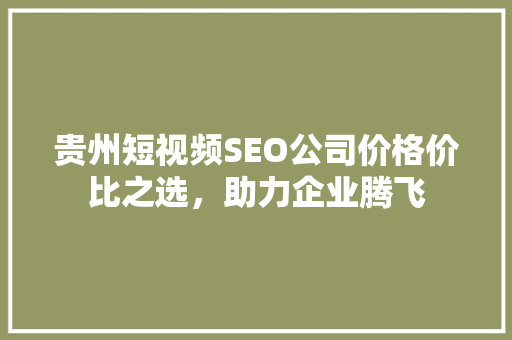 贵州短视频SEO公司价格价比之选，助力企业腾飞