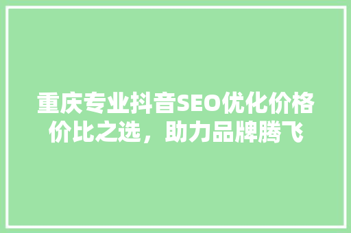 重庆专业抖音SEO优化价格价比之选，助力品牌腾飞  第1张