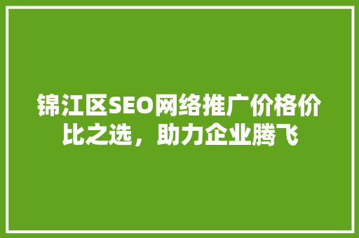 锦江区SEO网络推广价格价比之选，助力企业腾飞