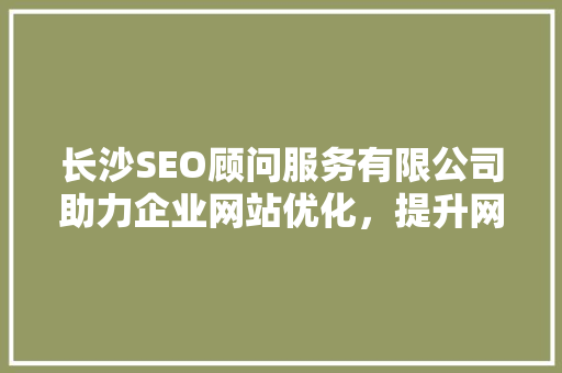 长沙SEO顾问服务有限公司助力企业网站优化，提升网络竞争力  第1张