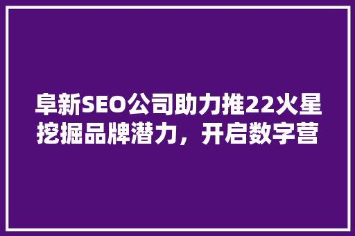 阜新SEO公司助力推22火星挖掘品牌潜力，开启数字营销新时代