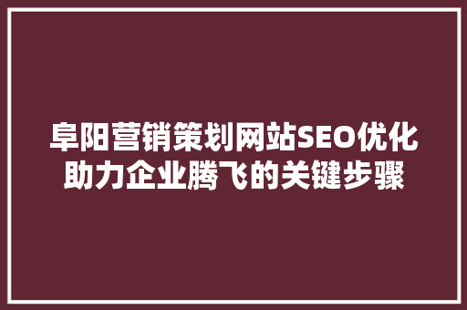 阜阳营销策划网站SEO优化助力企业腾飞的关键步骤