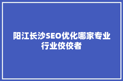 阳江长沙SEO优化哪家专业行业佼佼者