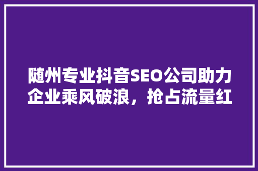 随州专业抖音SEO公司助力企业乘风破浪，抢占流量红利