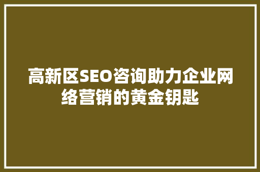 高新区SEO咨询助力企业网络营销的黄金钥匙