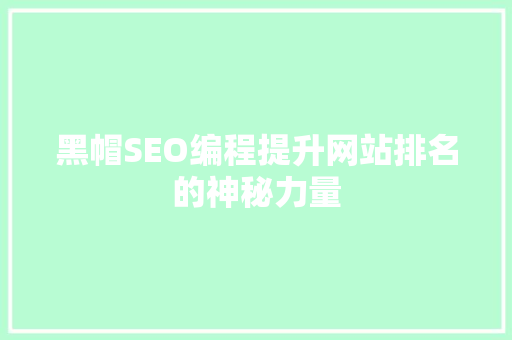 黑帽SEO编程提升网站排名的神秘力量