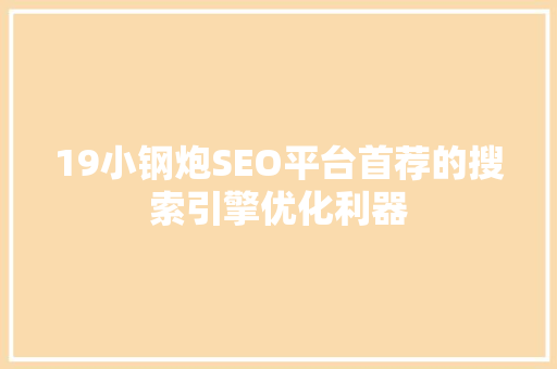 19小钢炮SEO平台首荐的搜索引擎优化利器