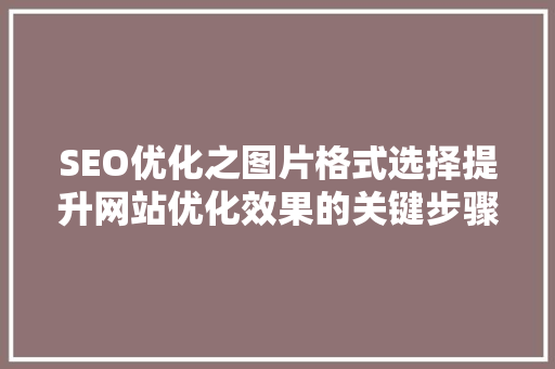 SEO优化之图片格式选择提升网站优化效果的关键步骤