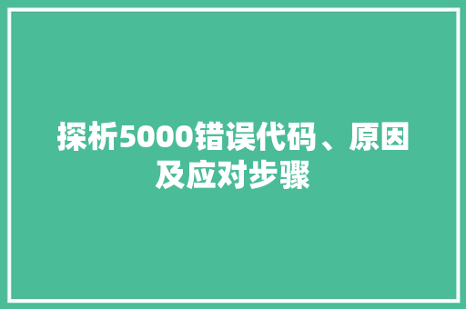 探析5000错误代码、原因及应对步骤