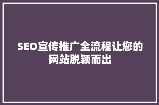 SEO宣传推广全流程让您的网站脱颖而出  第1张