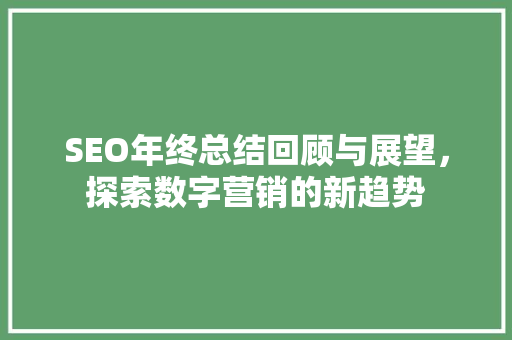 SEO年终总结回顾与展望，探索数字营销的新趋势  第1张