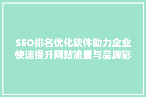 SEO排名优化软件助力企业快速提升网站流量与品牌影响力