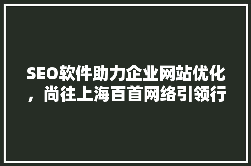 SEO软件助力企业网站优化，尚往上海百首网络引领行业风向标