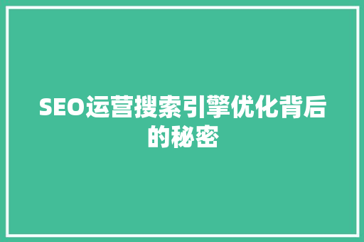SEO运营搜索引擎优化背后的秘密