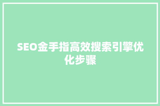 SEO金手指高效搜索引擎优化步骤