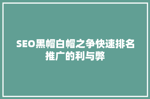 SEO黑帽白帽之争快速排名推广的利与弊