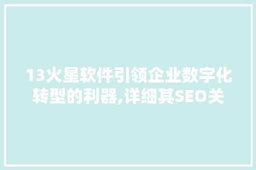 13火星软件引领企业数字化转型的利器,详细其SEO关键词步骤