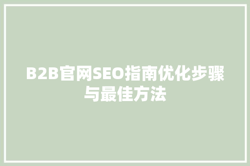 B2B官网SEO指南优化步骤与最佳方法  第1张