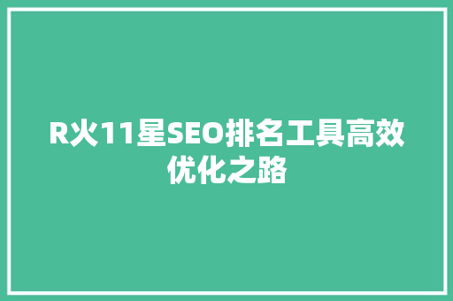 R火11星SEO排名工具高效优化之路