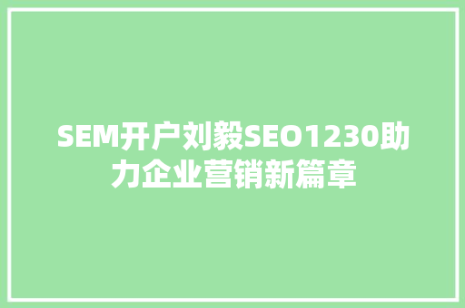SEM开户刘毅SEO1230助力企业营销新篇章