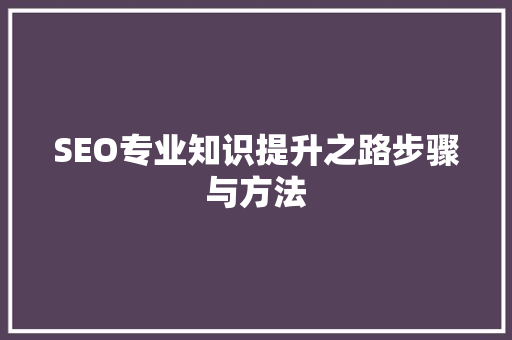 SEO专业知识提升之路步骤与方法  第1张