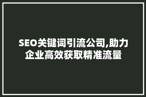 SEO关键词引流公司,助力企业高效获取精准流量