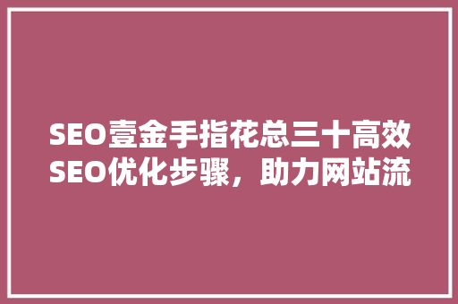 SEO壹金手指花总三十高效SEO优化步骤，助力网站流量翻倍