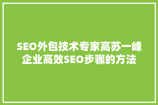 SEO外包技术专家高苏一峰企业高效SEO步骤的方法
