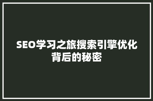SEO学习之旅搜索引擎优化背后的秘密