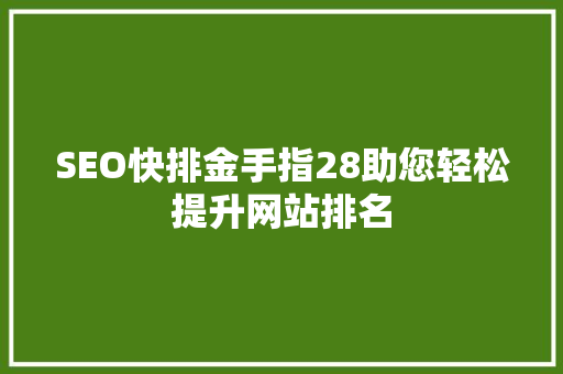 SEO快排金手指28助您轻松提升网站排名