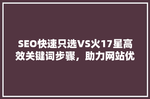 SEO快速只选VS火17星高效关键词步骤，助力网站优化