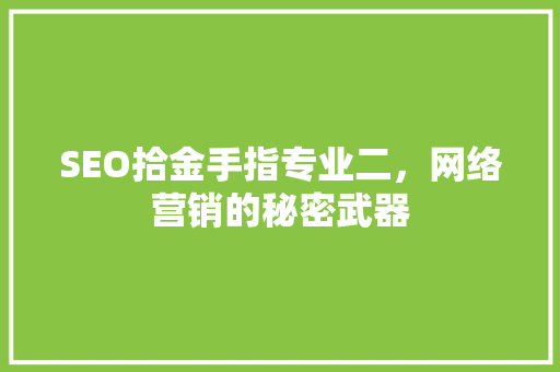 SEO拾金手指专业二，网络营销的秘密武器
