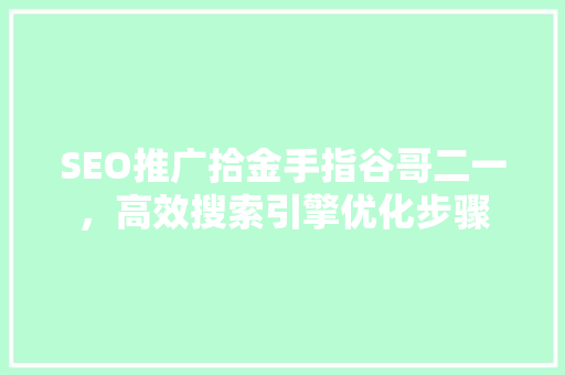 SEO推广拾金手指谷哥二一，高效搜索引擎优化步骤