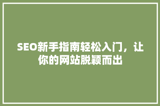 SEO新手指南轻松入门，让你的网站脱颖而出