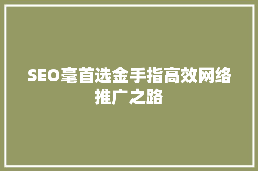 SEO毫首选金手指高效网络推广之路