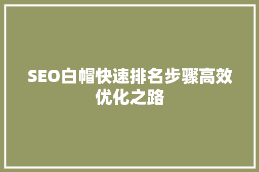 SEO白帽快速排名步骤高效优化之路