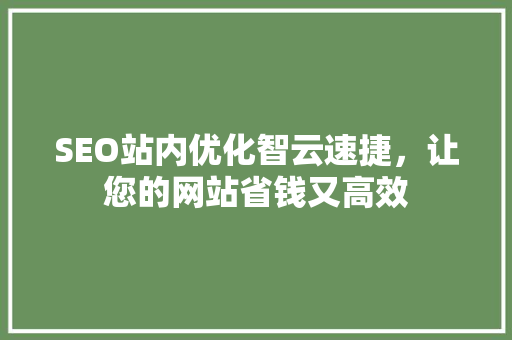 SEO站内优化智云速捷，让您的网站省钱又高效